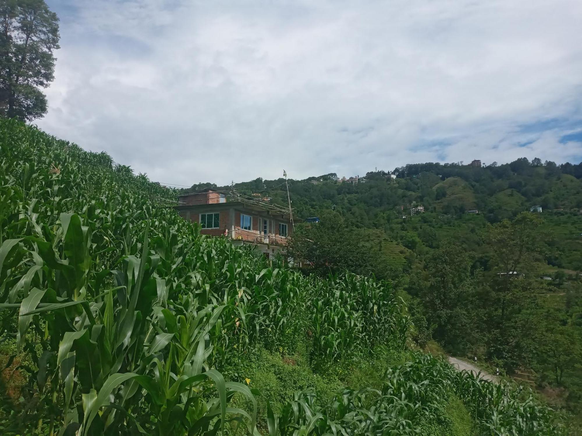Unique Point Home Stay Nagarkot Εξωτερικό φωτογραφία