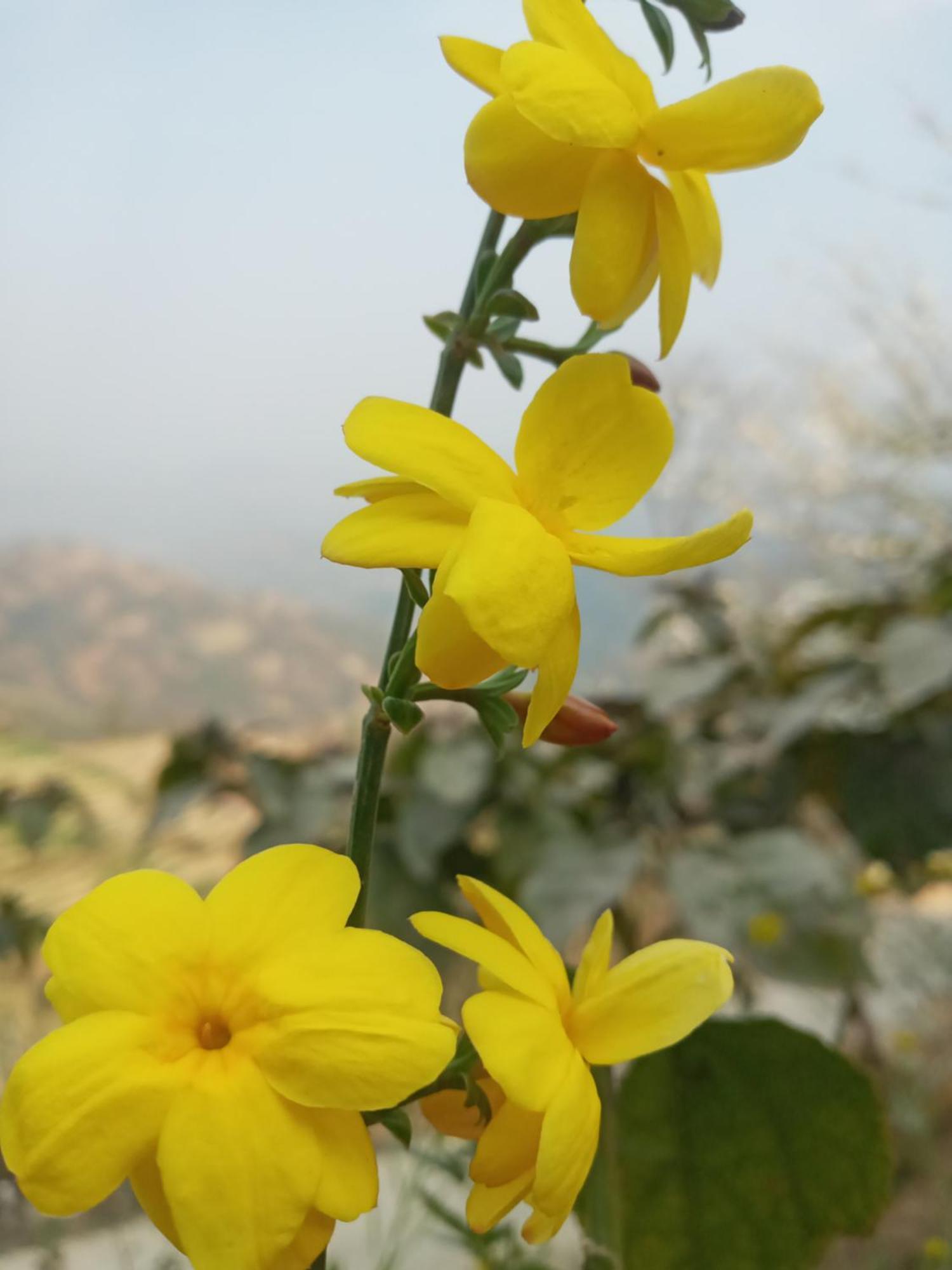 Unique Point Home Stay Nagarkot Εξωτερικό φωτογραφία