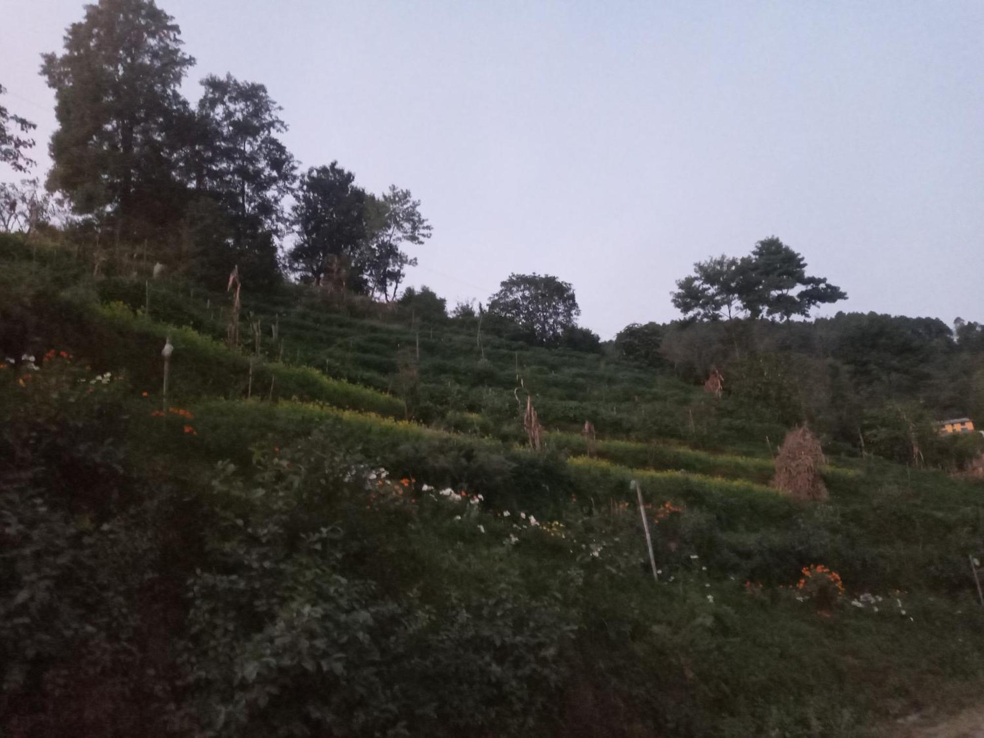 Unique Point Home Stay Nagarkot Εξωτερικό φωτογραφία